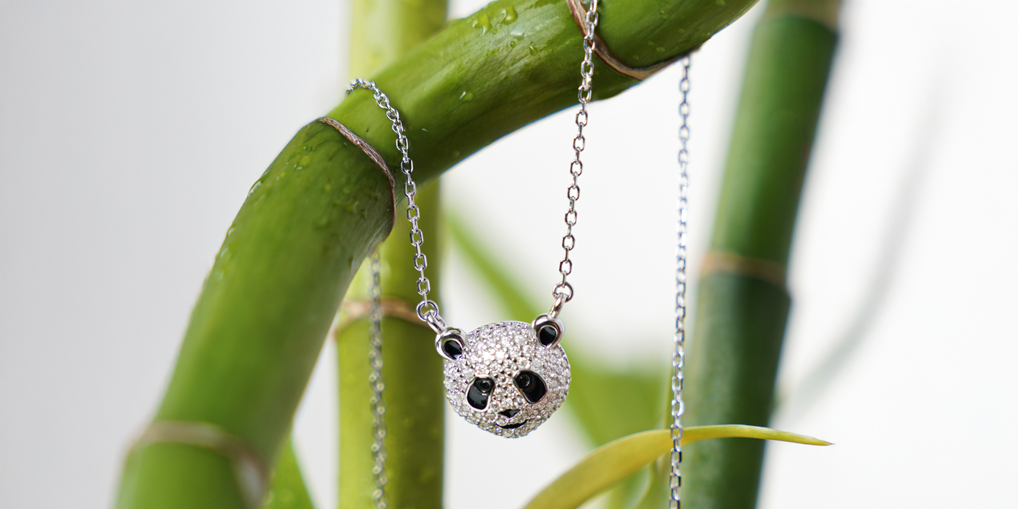 Sustainable Sparkle